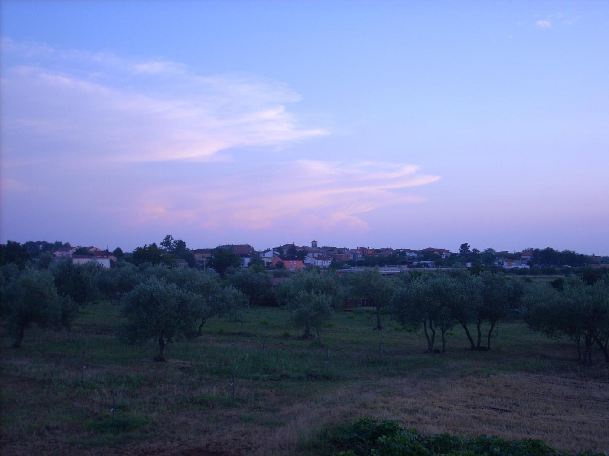 Zdravac * Umag