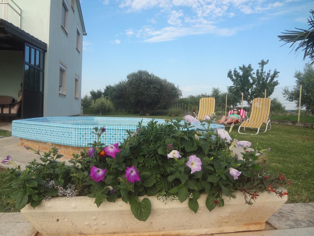 Apartman Zdravac
